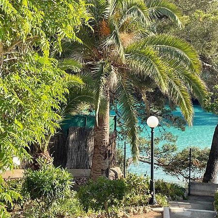 Playa D'Or 16 / Cala D'Or / Mallorca Экстерьер фото